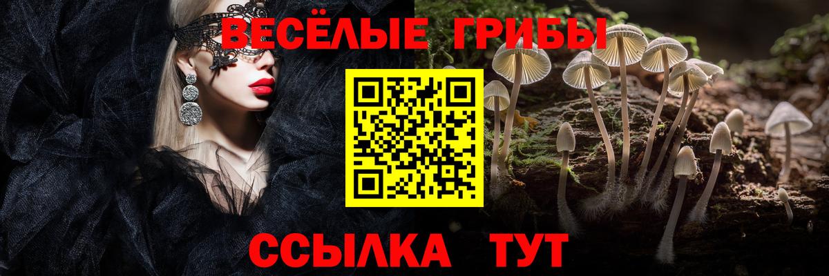 Псилоцибиновые грибы MAGIC MUSHROOMS  Вход с VPN  Псилоцибиновые грибы Psilocybe  Алейск 