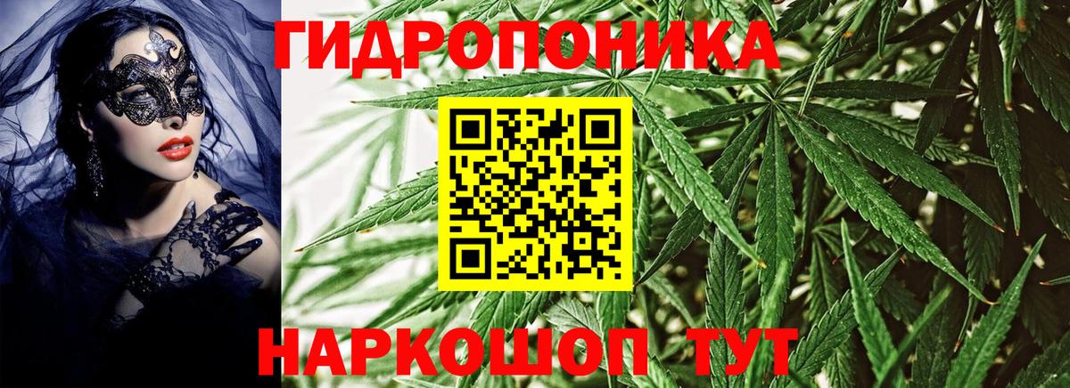 Канабис Bruce Banner Алейск